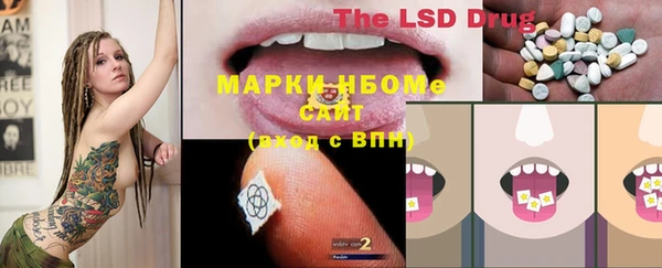 МДПВ Липки