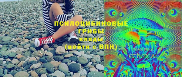 МДПВ Липки