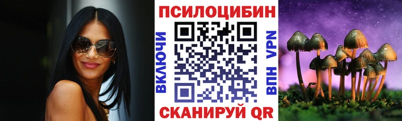 Купить закладки  Красавино  Псилоцибиновые грибы мицелий 